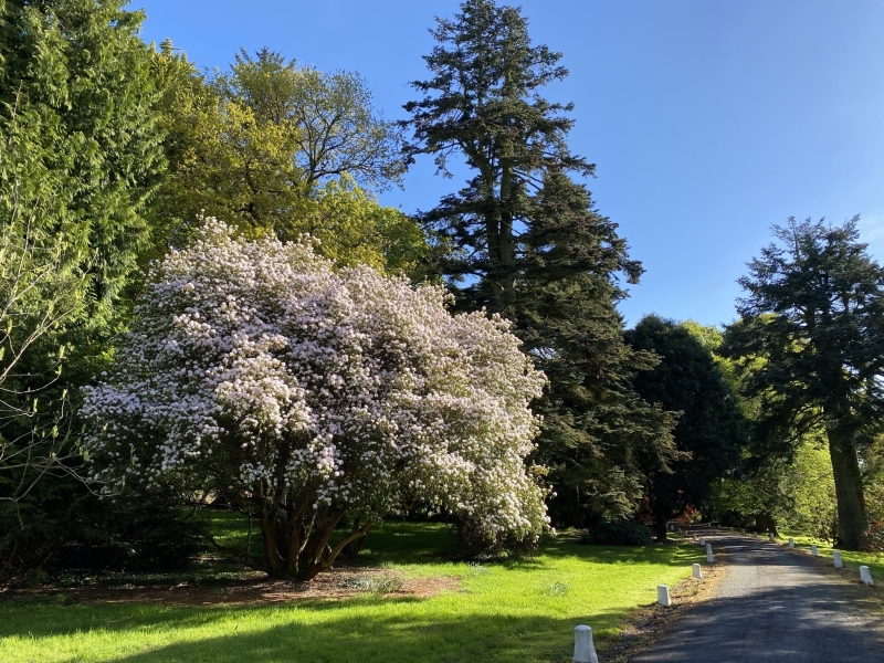 Brook Hall Estate & Gardens